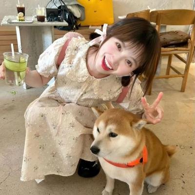 漫游的家庭